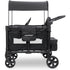 WonderFold W2 Elite Pro Double Stroller Wagon (2 Seater)