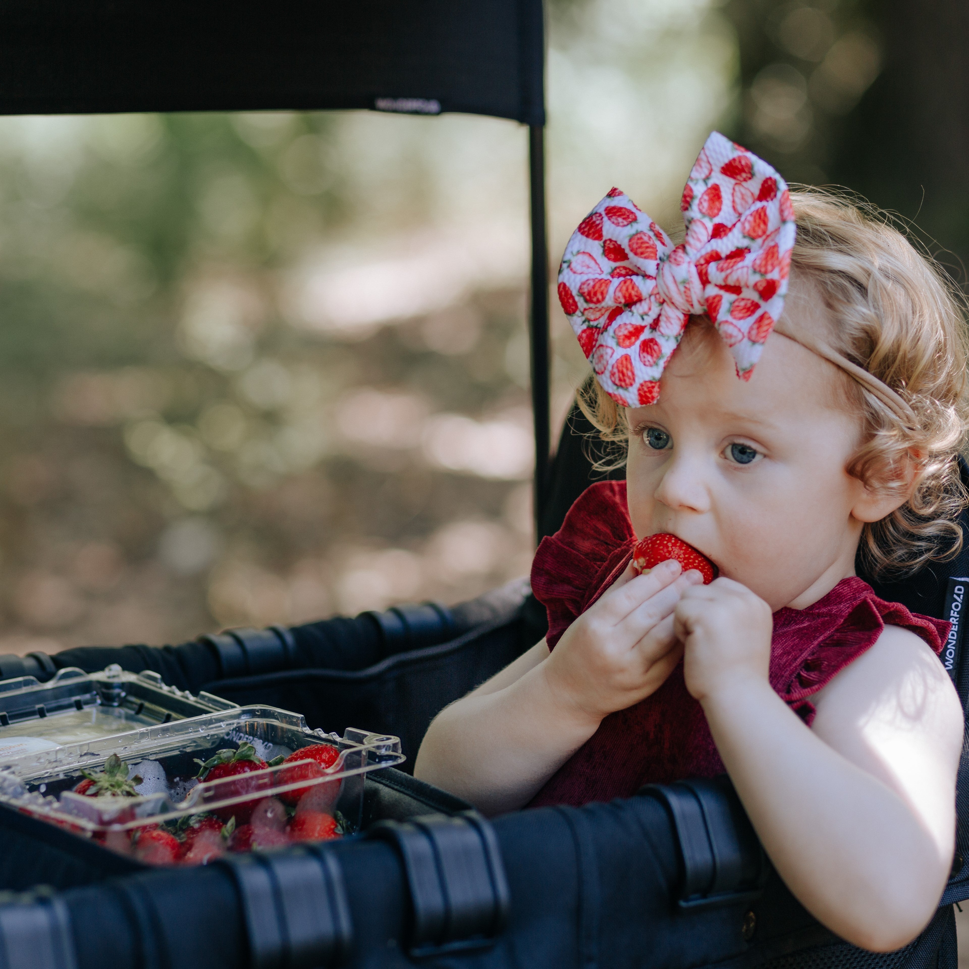 WonderFold Snack Tray | W Series