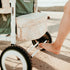 WonderFold VW4 Volkswagen Stroller Wagon