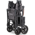 WonderFold W2 Luxe Pro Double Seater Stroller Wagon (2 Seater)