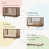 Dadada Bliss 4-in-1 Convertible Crib