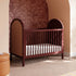 Babyletto Bondi Cane 3-in-1 Convertible Crib with Toddler Bed Conversion Kit
