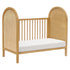 Babyletto Bondi Cane 3-in-1 Convertible Crib with Toddler Bed Conversion Kit