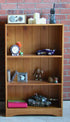 Innovations Bookcase