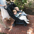 UPPAbaby Minu Duo Stroller