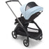 Bugaboo Dragonfly Stroller + Bassinet