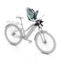 Thule Yepp 2 Mini