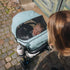 Thule Spring 2 Stroller
