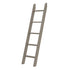 Jackpot Deluxe High Loft/Bunk Ladder