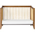 Babyletto Sprout 4-in-1 Convertible Crib with Toddler Bed Conversion Kit