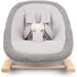 Nuna BRYN Newborn Rocker