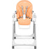 Peg Perego Prima Pappa Zero 3 High Chair
