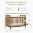 Namesake Liberty 3-in-1 Convertible Spindle Crib with Toddler Bed Conversion Kit