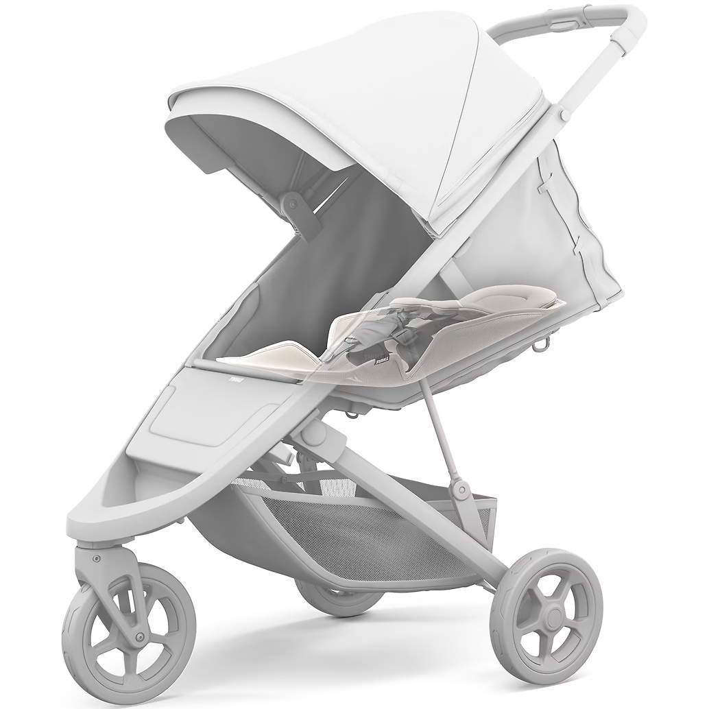 Thule newborn 2024