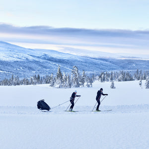 Thule Chariot Ski Kit | Sport/Cross/Lite